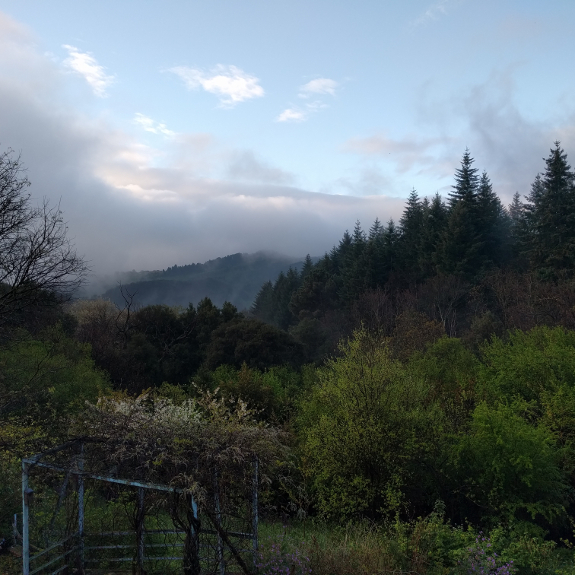 Twilight dans les Cévennes